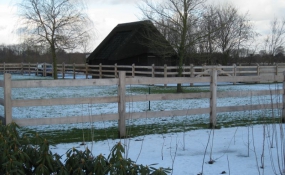 Afrastering paarden wei (10)