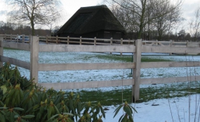 Afrastering paarden wei (11)