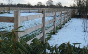 Afrastering paarden wei (12)