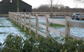 Afrastering paarden wei (13)