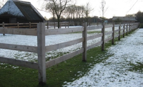 Afrastering paarden wei (3)