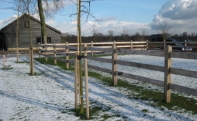 Afrastering paarden wei (4)