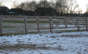Afrastering paarden wei (6)
