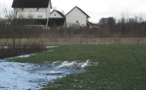 Afrastering paarden wei (7)