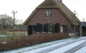 Afrastering paarden wei (8)