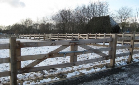 Afrastering paarden wei