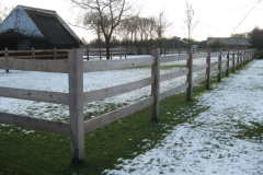 Afrastering paardenwei