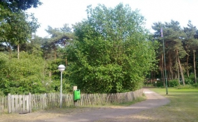 Kopie van Robinia schapenhekwerk, engelshekwerk op camping