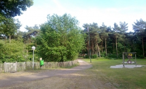 Robinia schapenhekwerk, engelshekwerk op camping