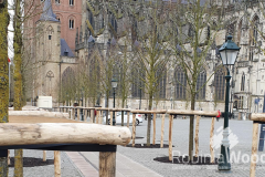 Parade 's-Hertogenbosch