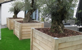 Plantenbak NATURE XXL