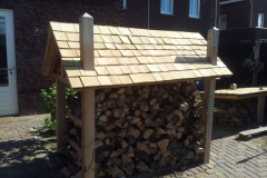 Robinia daksingles