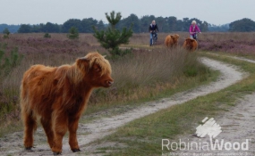 RW16_09_16_6 Bron Staatsbosbeheer