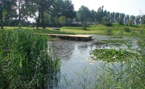Aanlegsteiger of vlonder RoughWood (3)