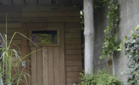 Tuin Tilburg (4)