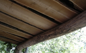 Tuin Tilburg (8)