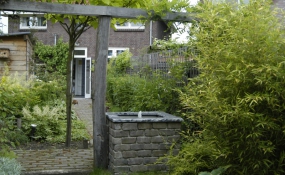 Tuin Tilburg (9)