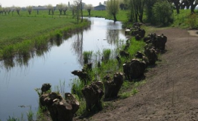 Vlonders en Steigers te Zeeland (13)