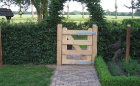 Veldhek Nature 120cm hoog enkel (1)