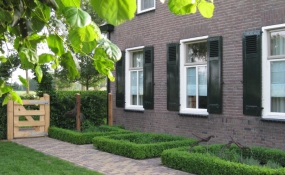 Veldhek Nature 120cm hoog enkel (3)