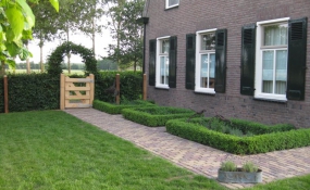 Veldhek Nature 120cm hoog enkel (4)