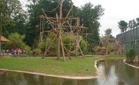 Zware Robinia klimpalen voor de Apen in de ZOO (2)