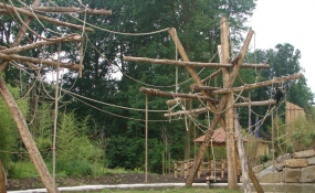 Zware Robinia klimpalen voor de Apen in de ZOO