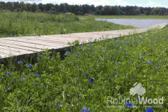 Zuidpolder Barendrecht