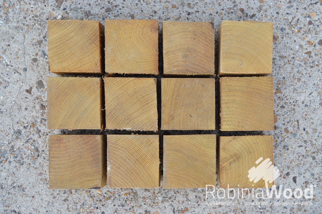 2_RW Stepwood 10x10_KL